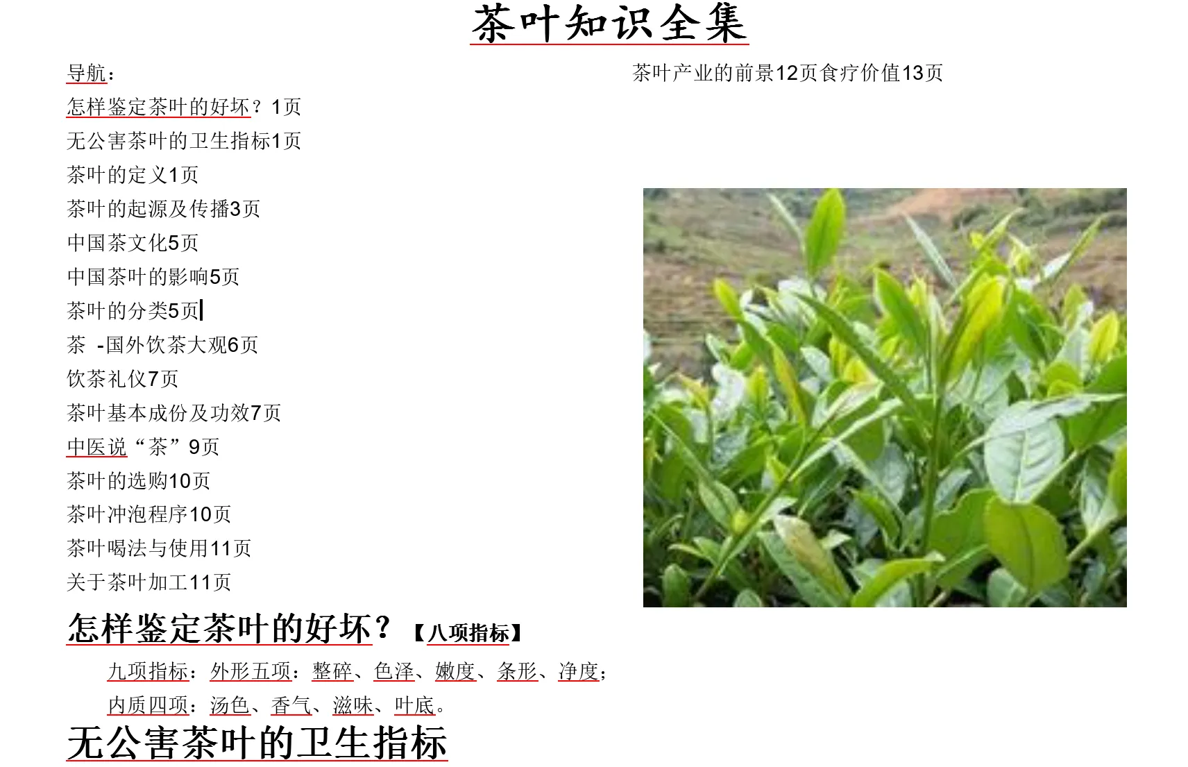 茶叶知识全集.doc