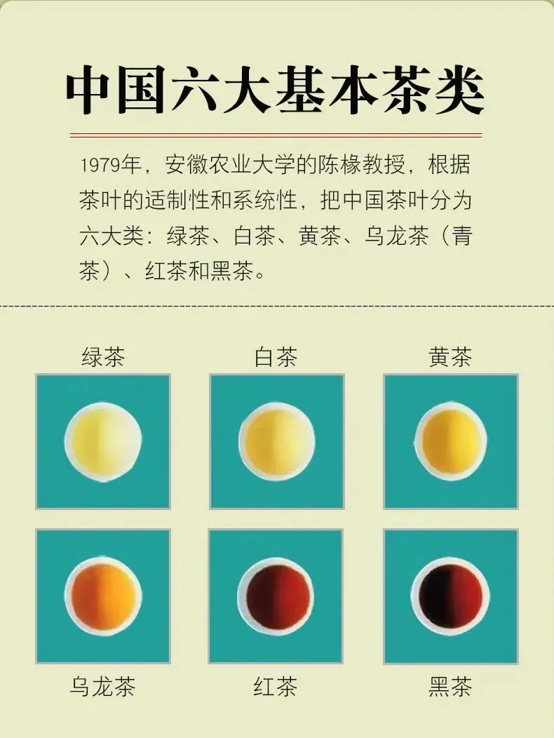 茶叶分类的理论与实际_陈椽