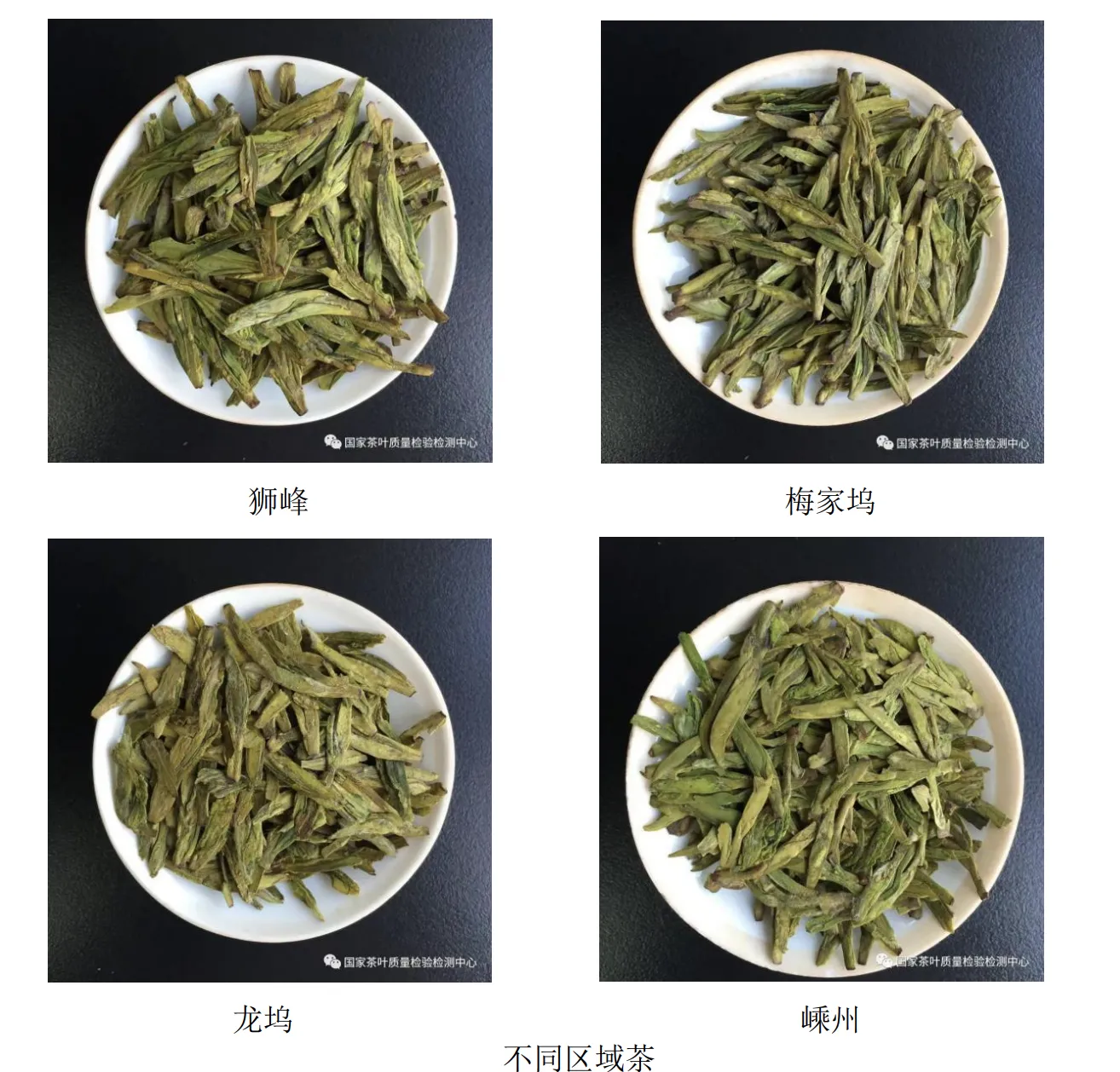 茶科普：龙井茶知识